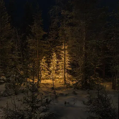 Ferienhaus Arctic Rovaniemi