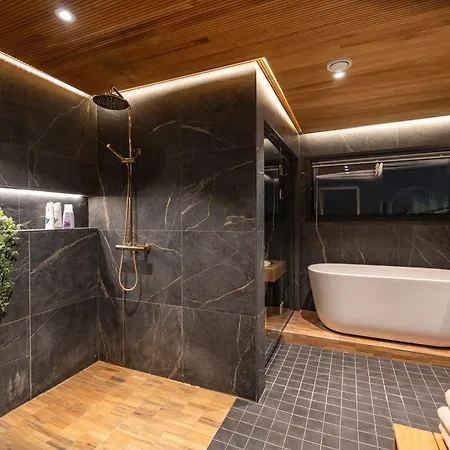 Arctic * Рованиеми